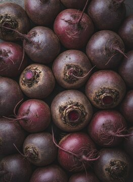 Fresh dark red beetroots background with detailed organic texture