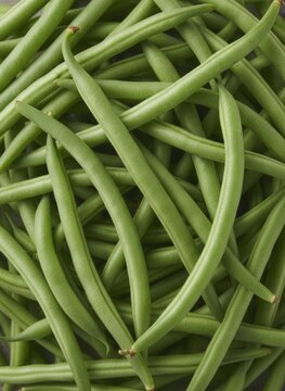Fresh green beans background with detailed organic texture