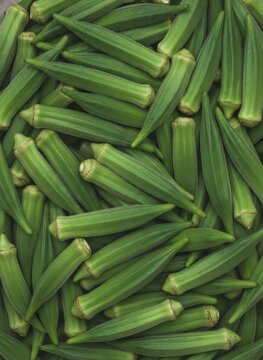 Fresh Green Okra Background - Top View Texture of Raw Gumbo