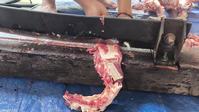 Hands cut meat with a heavy meat cutter. Fleshly bones lie scattered on a blue tarp. Tool is heavy and metal, designed for cutting. Work surface is stained and worn from use. No emotion shown