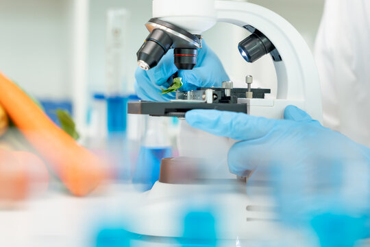Scientist check chemical food residues in laboratory. Control experts inspect quality of fruits, vegetables. lab, hazards, ROHs, find prohibited substances, contaminate, Microscope, Microbiologist