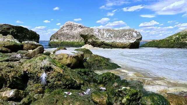 Summer Algal Bloom with White Sea Foam on a Rocky Ocean Coast.