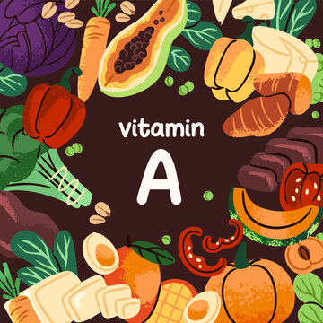 Design of border with group of different vegetables and fruit with vitamin A. Healthy farm food. Natural sources of nutrients. Grocery products for proper nutrition. Flat vector illustration