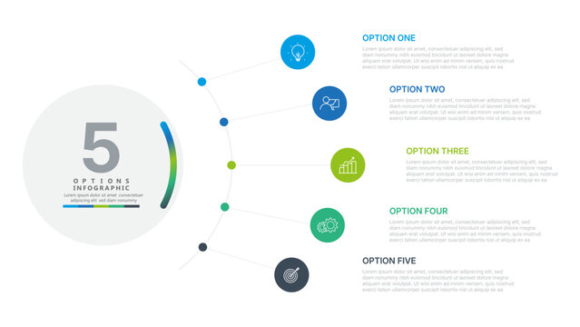 Modern 5 Step Business Process Infographic Template with Circular Workflow, Timeline and Data Visualization