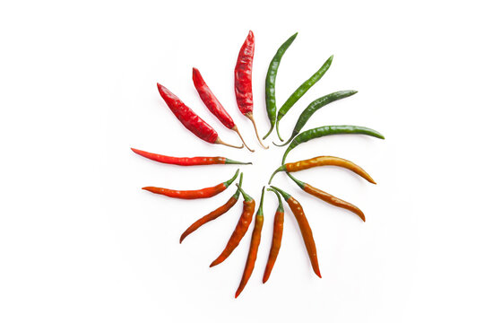 Red and green chilli peppers in the circle shaped