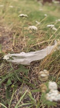 Plastik T&uuml;te verschmutzung im Naturpark auf einer Sommerwiese 