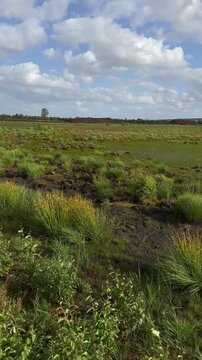 Weite Kamerafahrt &uuml;ber ein austrocknendes Hochmoor mit dramatischem Wolkenhimmel - Symbol f&uuml;r Klimawandel, D&uuml;rre und Naturschutz.