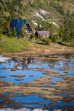 Early Summer Hiuchi-yama and Takayachi-ike Hutte (June 2026)