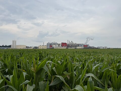 View of methanol and ethanol factory plant in corn field. Bioagra Goswinowice Ethanol Production Plant located near Nysa in Poland. Factory of bioethanol and ethanol produced from corn grain