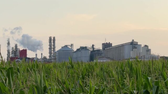 View of methanol and ethanol factory plant in corn field. Bioagra Goswinowice Ethanol Production Plant located near Nysa in Poland. Factory of bioethanol and ethanol produced from corn grain