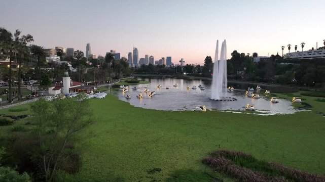 Echo Park Lake Los Angeles Aerial View - Swan Boats at Sunset