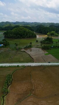 Vertical drone ascends over Bohol rice fields, showing flooded paddies, rural road, trees, and hills