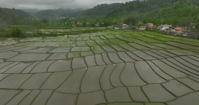 Drone aerial footage of green agricultural fields and mountain landscape in cloudy weather