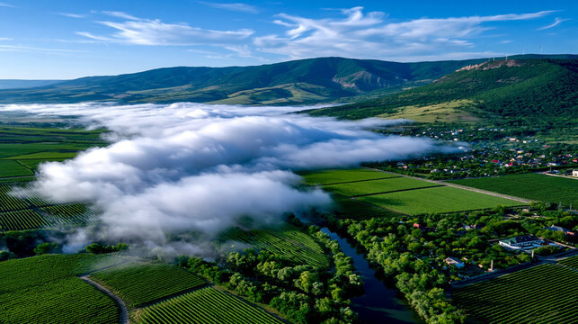 Aerial view of rolling green vineyards and a river shrouded in morning fog below distant mountains