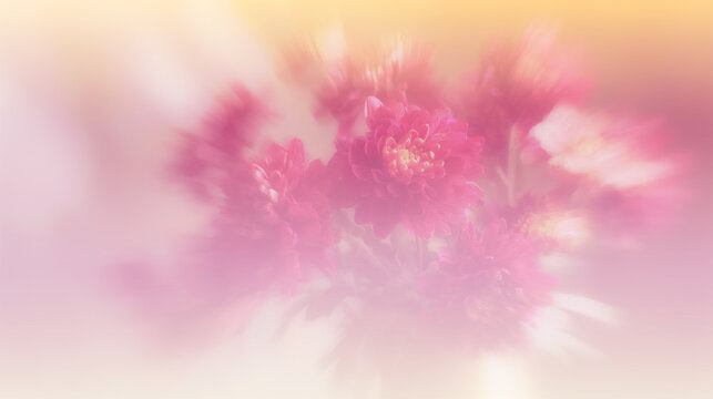 Dreamy Pink Flowers with Soft Blur and Warm Pastel Glow