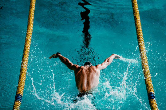 Male swimmer swimming with butterfly stroke in swimming pool
