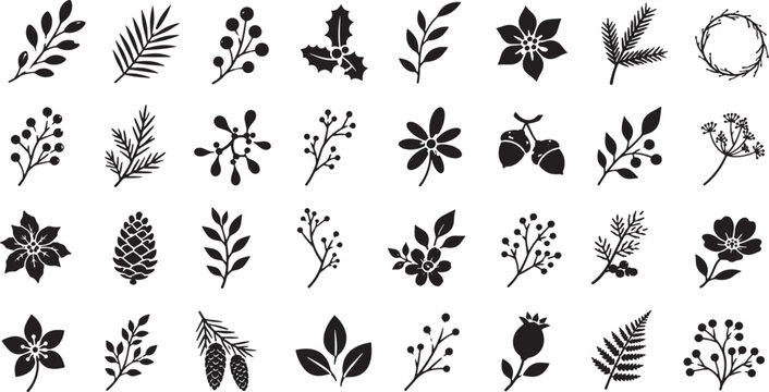 Set of black christmas botanical icons with pine branches and winter berries Vector