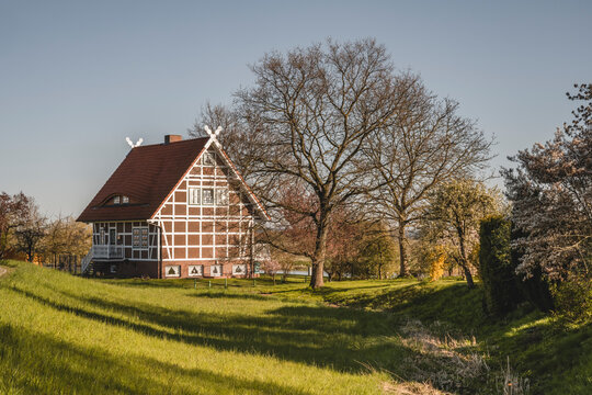 Germany, Altes Land, Idyllic rural scene with farmhouse in spring