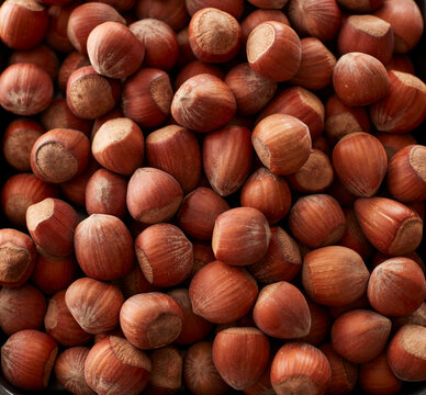 Full frame of heap of hazelnuts