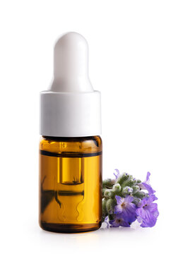 Lavender flowers and a bottle of lavender essential oil isolated on a white background. With clipping path.