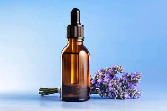 Bouquet of lavender and a bottle of lavender essential oil on a blue background.