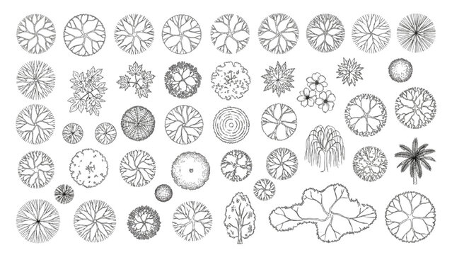 Architectural Tree CAD Blocks Top View Landscape Plan Symbols Vector Collection Set