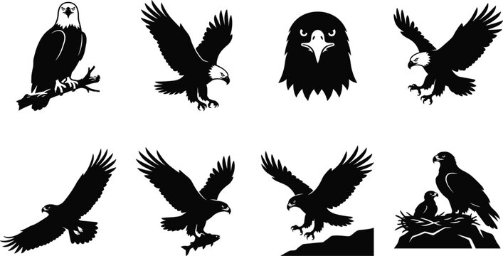 Set of black eagle silhouettes featuring flying birds of prey perched on branch and hunting fish vector illustration