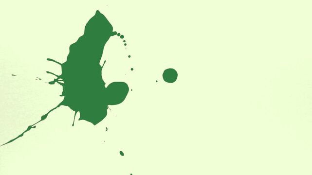 White and Black Ball and Person and Man and Cat on Green Screen Background Horizontal 16:9
