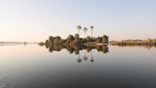 palm trees, Zambezi River, Zimbabwe at sunrise, Africa