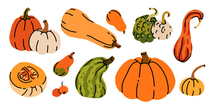Hand drawn pumpkin and squash collection: classic pumpkin, butternut squash, warty gourds, striped gourd, pumpkin slice, and mini pumpkins in orange, green, and cream fall colors.