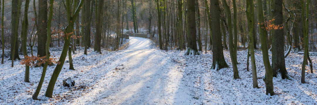 Weg durch den Laubwald mit Schnee, Naturschutzgebiet Beversee, Nordrhein-Westfalen, Deutschland, Europa