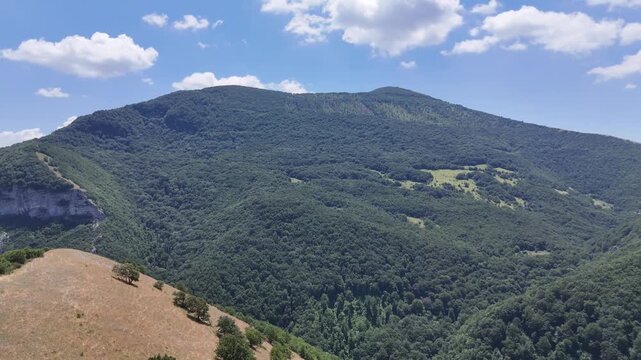 Montagna ricoperta di foresta verde con pendii alberati e zone di erba secca in primo piano, sotto un cielo azzurro con nuvole sparse. Paesaggio naturale ampio, luminoso e incontaminato