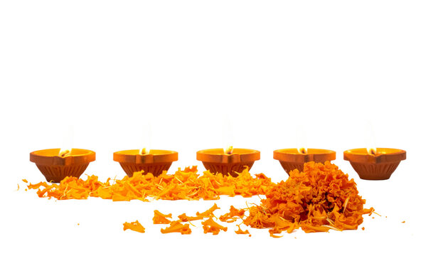 Diwali Diyas With Marigold Petals on Transparent Background.