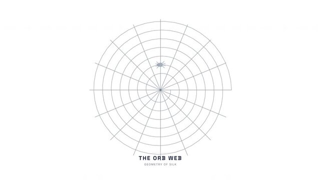 Spider Web Radial Architecture Animation &mdash; Arachnid Silk Engineering Biology Loop