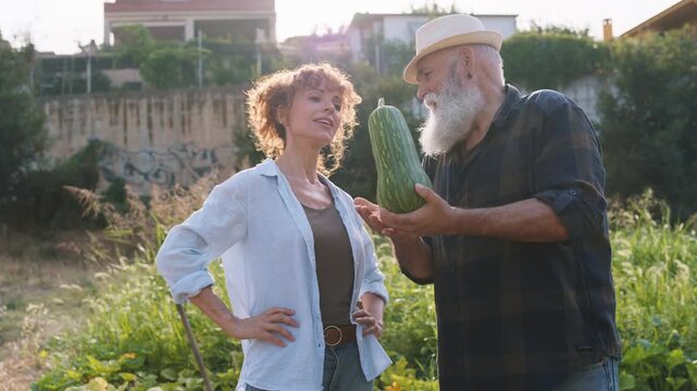 Senior farmer showing a freshly harvested organic zucchini in a garden