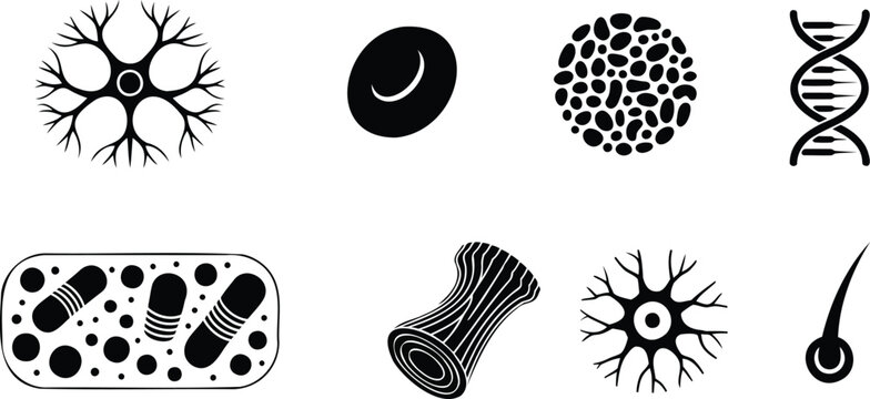 Collection of black and white scientific and biological neuron, red cell, cells, dna, bacteria, wood grain, hair follicle