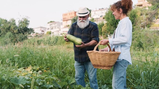 Senior farmer man showing a zucchini to a young woman in an urban garden