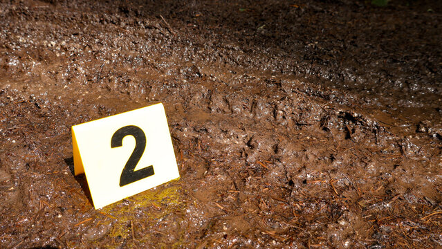 Evidence marker number two identifying relevant tire tracks and footprints impressed in wet, muddy terrain, indicating forensic investigation at a potential crime scene