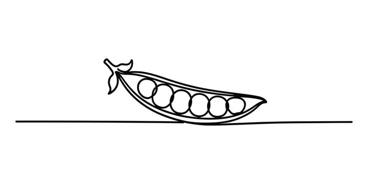 Continuous line drawing of a pea pod with peas