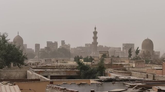 Cairo City of the Dead, Egypt, one of world's largest cemeteries, historic Islamic domes and mausoleums rising above residential tomb buildings and palm trees.