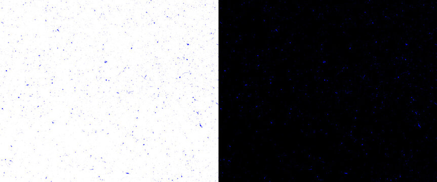 Minimalist split screen background with white speckled texture and solid black contrast, abstract dual tone surface for graphic design and copy space