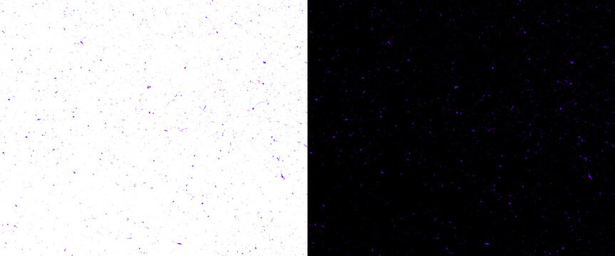 Minimalist split screen background with grainy texture, black and white contrast surface, abstract dual tone composition for graphic design