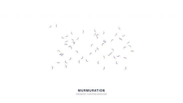 Bird Flock Murmuration Animation &mdash; Swarm Intelligence Collective Behavior Biology Loop