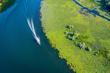Obraz premium Scenic aerial view of a boat propelling through the emerald green water lily field, creating a wake on the calm lake surface