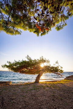 sunset on the beach