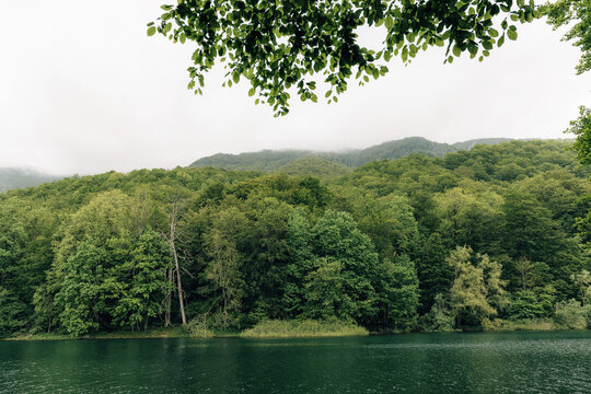Biogradsko Lake reflecting lush green forest and distant mountains under a dramatic cloudy sky, creating a serene, immersive nature scene
