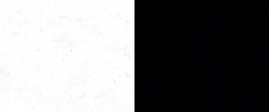 Minimalist split screen background with textured white paper and solid black contrast, abstract dual tone layout for graphic design png