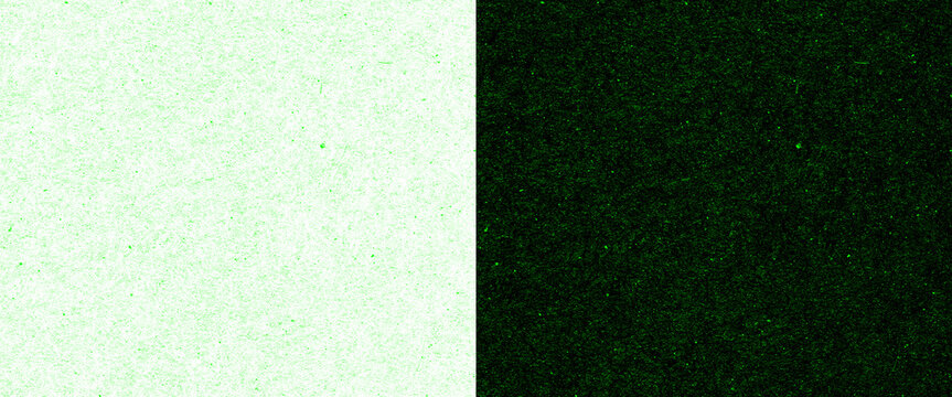 Minimalist split background with textured green and white panels, abstract dual color paper texture for graphic design backdrops png