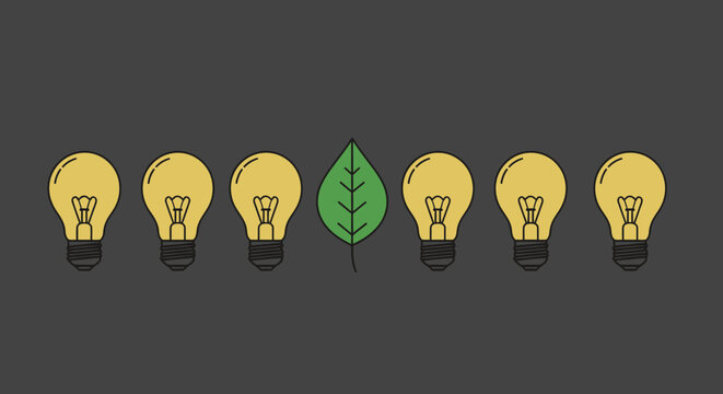 Colorful illuminated light bulbs hanging in a row.
