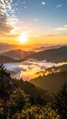 Naklejka premium Golden sunrise illuminates misty mountain peaks and lush green forests.